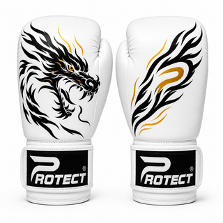 Boxing Gloves- Dragon Series